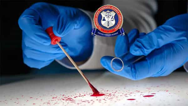 TSLPRB Recruitment 2022: నిరుద్యోగులకు అలర్ట్! తెలంగాణ ఫోరెన్సిక్ సైన్స్ అండ్ ల్యాబొరేటరీస్లో ఉద్యోగాలకు నోటిఫికేషన్ విడుదల