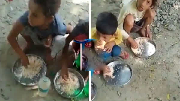 అయోధ్యలో కిండర్ గార్డెన్ విద్యార్థుల దీనస్థితి.. మధ్యాహ్న భోజనంలో అన్నం, ఉప్పే ఆహారం!