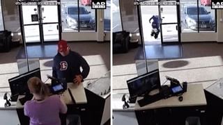 Baby Horse: కాలం ఎంత కసాయిదో చెప్పడానికి ఈ ఒక్క వీడియో చాలు.. బస్సుపై బొమ్మను చూసి తల్లి అనుకొని  పిల్ల గుర్రం..