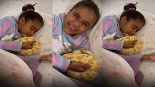 Viral Video: బురదలో కూరుకున్న ట్రక్కు.. నేనున్నానంటూ గజరాజు సాయం.. వీడియో వైరల్