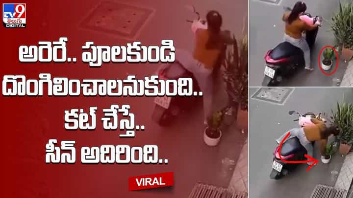 అరెరే.. పూలకుండి దొంగిలించాలనుకుంది.. కట్ చేస్తే.. సీన్ అదిరింది.. అరెరే.. పూలకుండి దొంగిలించాలనుకుంది.. కట్ చేస్తే.. సీన్ అదిరింది..