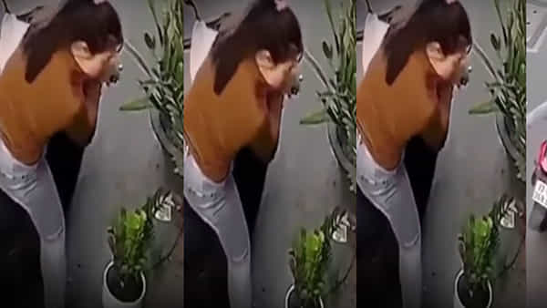 Viral Video: అరెరే.. పూలకుండి దొంగిలించాలనుకుంది.. కట్ చేస్తే.. నడిరోడ్డుపై ఇలా గింగిరాలు పోయింది .. ఫన్నీ వీడియో..