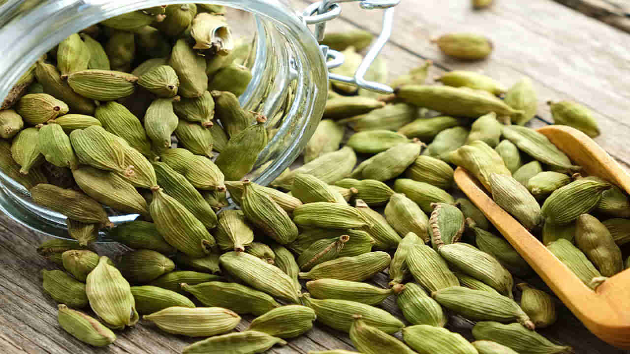 Cardamom Price: యాలకుల ధర ఎక్కువగా ఉండటం కారణం ఏమిటి..? వీటి సాగుకు ఎంత ఖర్చు అవుతుంది..?