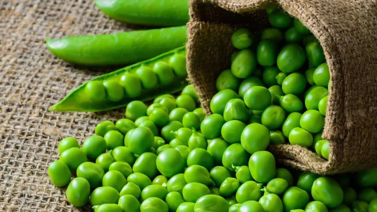 Green Pea Benefits: పచ్చి బఠానీలా మజాకా..! చలికాలంలో రోజూ తింటే నమ్మలేనన్ని ప్రయోజనాలు..