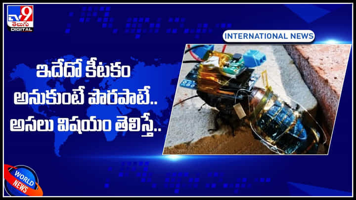 Innovative Experiment: ఇదేదో కీటకం అనుకుంటే పొరపాటే.. అసలు విషయం తెలిస్తే షాక్ అవ్వాల్సిందే..! Innovative Experiment: ఇదేదో కీటకం అనుకుంటే పొరపాటే.. అసలు విషయం తెలిస్తే షాక్ అవ్వాల్సిందే..!