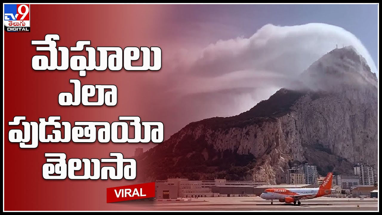 Hill of Clouds: ఇక్కడ మేఘాలు ఎలా పుడతాయో ఎప్పుడైనా చూశారా..! మేఘాలు పుట్టేది ప్రత్యక్షంగా చూడొచ్చు.. Hill of Clouds: ఇక్కడ మేఘాలు ఎలా పుడతాయో ఎప్పుడైనా చూశారా..! మేఘాలు పుట్టేది ప్రత్యక్షంగా చూడొచ్చు..