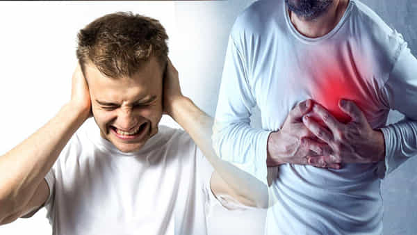 Heart Attack: హార్ట్ ఎటాక్ బాధితులకు అలర్ట్.. DJ పౌండ్తో ఆకస్మిక గుండెపోటు.. సౌండ్కు గుండెకు సంబంధం ఏమిటి..? అధ్యయనంలో సంచలన విషయాలు