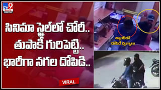 Mystery Of Birds Suicide: పక్షుల సూసైడ్ పాయింట్‌! ఎక్కడెక్కడి నుంచో వచ్చి ఇక్కడే ఎందుకు.. అది ఇప్పటికీ అంతుచిక్కని మిస్టరీనే!