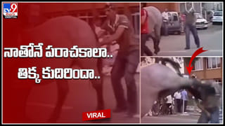 Woman for Boyfriend: ప్రియుడి కోసం ప్రేయసి తపన.. యువతిపై ప్రశంసలు కురిపిస్తున్న నెటిజన్లు..