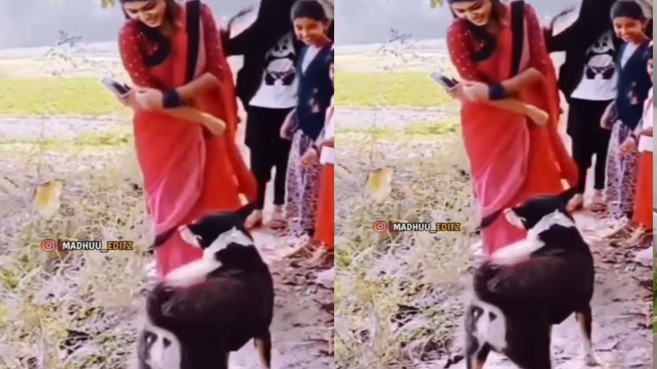 Video Viral: కాలా చష్మా పాటకు యువతి అద్భుతమైన డ్యాన్స్.. ఎవరిముందు చేసిందో తెలిస్తే ఫ్యూజులౌట్