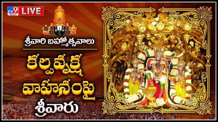 Srivari Brahmotsavam: కల్పవృక్ష వాహనంపై శ్రీవారు.. కోలాహలంగా మారిన శ్రీవారి బ్రహ్మోత్సవాలు..(లైవ్) Srivari Brahmotsavam: కల్పవృక్ష వాహనంపై శ్రీవారు.. కోలాహలంగా మారిన శ్రీవారి బ్రహ్మోత్సవాలు..(లైవ్)