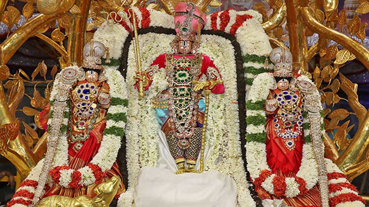 వాహనం ముందు గజరాజులు నడుస్తుండగా, భక్తజన బృందాలు భజనలు, కోలాటాలు, జీయ్యంగార్ల ఘోష్టితో స్వామివారిని కీర్తిస్తుండగా, మంగళవాయిద్యాల నడుమ స్వామివారి వాహనసేవ కోలాహలంగా జరిగింది. భక్తులు అడుగడుగునా కర్పూరహారతులు సమర్పించి శ్రీవారిని దర్శించుకున్నారు.