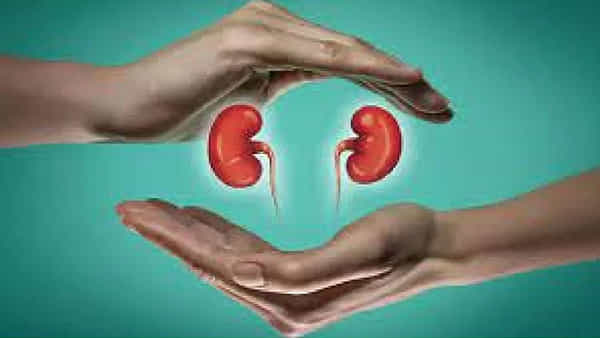 Kidney Health: కాళ్లలో వాపు ఇబ్బంది పడుతుందా.. నిర్లక్ష్యం వహిస్తే కిడ్నీ సమస్యలకు దారి తీయవచ్చు.. బీ అలర్ట్..