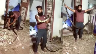 Viral Video: రోప్ పుల్లింగ్ గేమ్‌ లో ఒక్క సింహంతో తలపడిన ముగ్గురు బాడీ బిల్డర్స్ .. నెట్టింట్లో వీడియో వైరల్