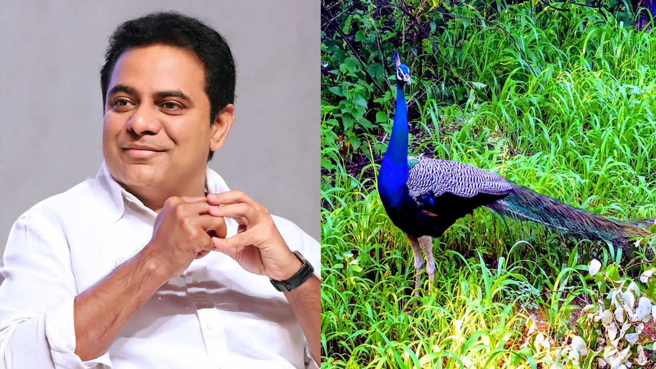 KTR మంత్రి కేటీఆర్‌ను కదిలించిన ఓ తల్లి లేఖ.. ఆ విషయంలో చిన్నారులకు