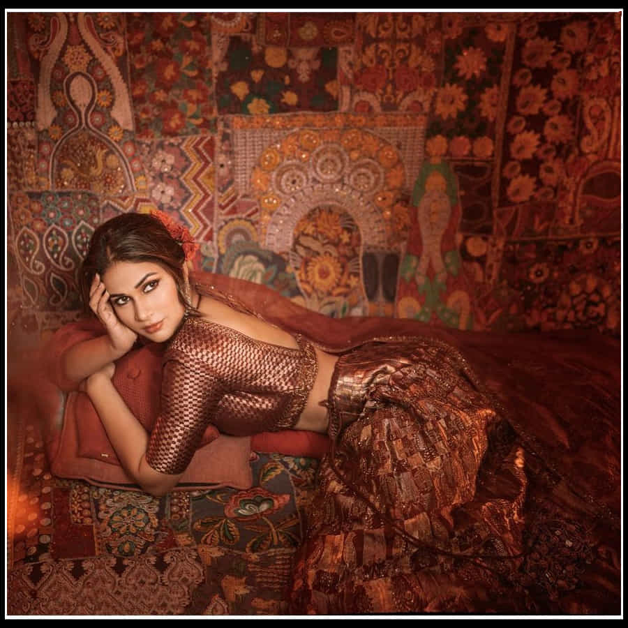 Lavanya Tripathi: రాకుమారి లావణ్యం.. మెస్మరైసింగ్ ఫొటోస్ తో అందాల రాక్షసి..