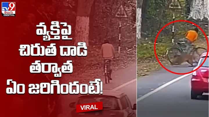 సైకిల్పై వెళ్తున్న వ్యక్తిపై చిరుత దాడి !! తర్వాత ఏం జరిగిందంటే ?? సైకిల్పై వెళ్తున్న వ్యక్తిపై చిరుత దాడి !! తర్వాత ఏం జరిగిందంటే ??