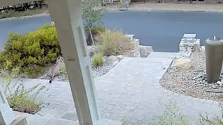 సిటీ ట్రాఫిక్ తో మామూలుగా ఉండదు.. బెంజ్ కారులో వెళ్లే వారినే షేర్ ఆటో ఎక్కించేసింది