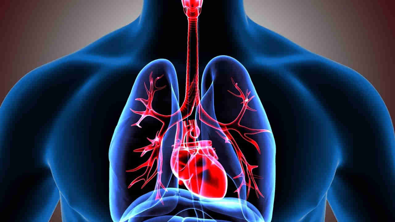 World Lung Day 2022: మీ ఊపిరితిత్తులు ఆరోగ్యంగా ఉన్నాయా? ఈ 5 లక్షణాలను అస్సలు నిర్లక్ష్యం చేయొద్దు..