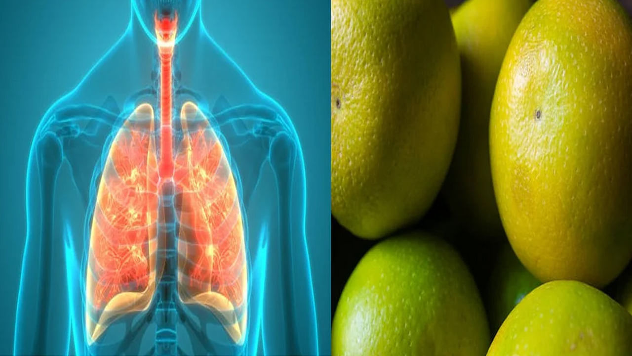 Healthy Lungs: దగ్గు, ఆయాసంతో బాధపడుతున్నారా? ఈ 5 పండ్లను రోజూ తింటే అద్భుత ఫలితం..