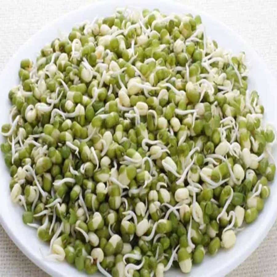 మొలకలు: అల్పాహారం బాగా చేస్తే, రోజంతా శరీరంలో శక్తి ఉంటుంది. పెసర్లను రాత్రంతా నానబెట్టి, మరుసటి రోజు వాటిని తడి గుడ్డలో ఉంచండి. మూడో రోజు పేసర్లు మొలకెత్తుతాయి. మీకు కావాలంటే, మీరు దీనికి తరిగిన టమోటాలు, ఉల్లిపాయలతో పాటు, నిమ్మరసం కూడా జోడించవచ్చు.