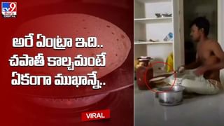 పొడవైన చెట్టుపైకి ఎక్కిన వ్యక్తి.. పైకి వెళ్లాక అక్కడి సీన్‌ చూసి గుండె గుబేల్‌..