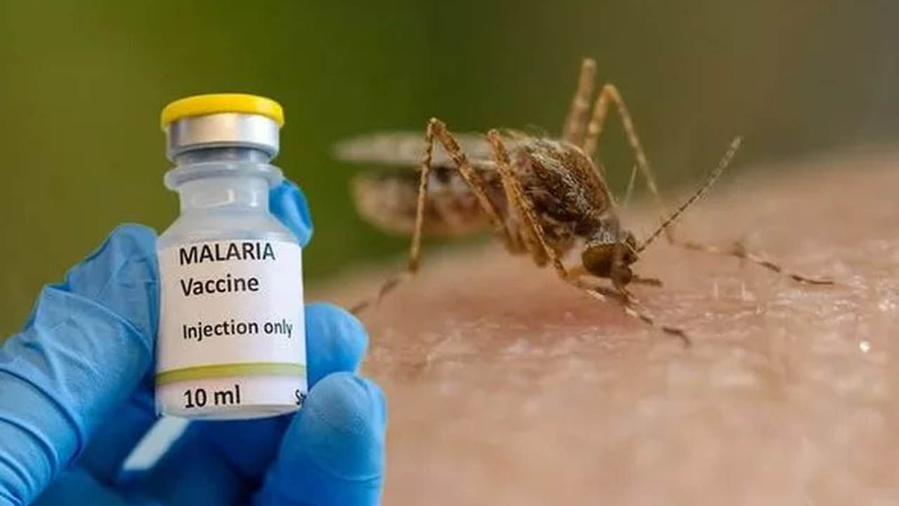 Malaria Vaccine: గుడ్‌న్యూస్‌.. అందుబాటులోకి రానున్న మలేరియా వ్యాక్సిన్‌.. పరిశోధనలో అద్భుతమైన ఫలితాలు