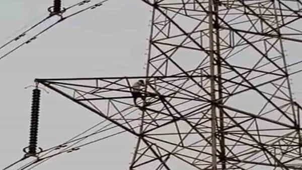 Viral Video: షోలే సినిమాలో ధర్మేంద్రను గుర్తుచేశాడు.. భార్య కాపురానికి రావటం లేదని యువకుడు చేసిన పని..