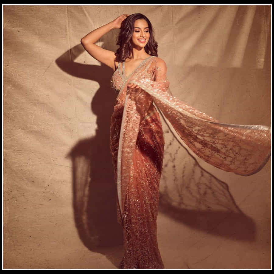 Meenakshi Chaudhary: అందాలతో అదరగొడుతున్న మీనాక్షి..