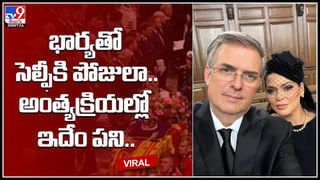 Kenya Drought: కెన్యాలో తీవ్ర కరువు.. ఆకలితో వన్యప్రాణుల మృత్యవాత..