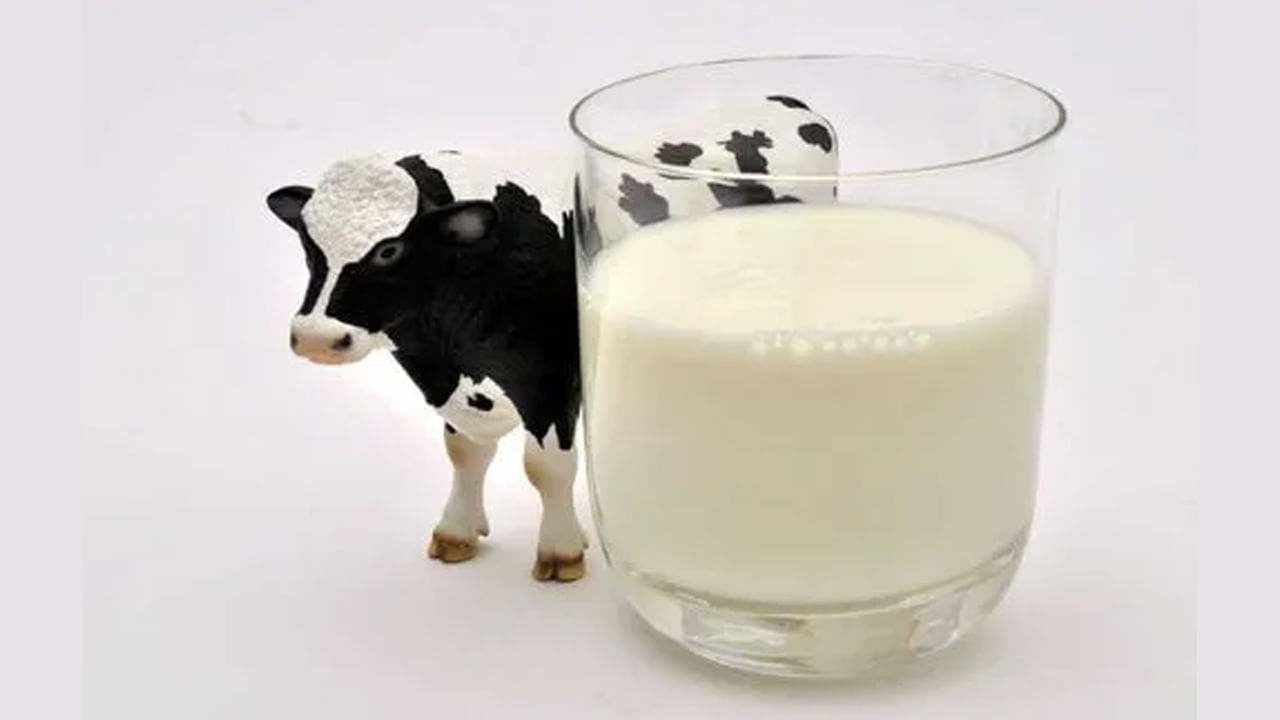 Milk: ఆ గ్రామాల్లో పాలు తాగటం మానేస్తున్న ప్రజలు.. భయంకరమైన కారణమే ఉంది..