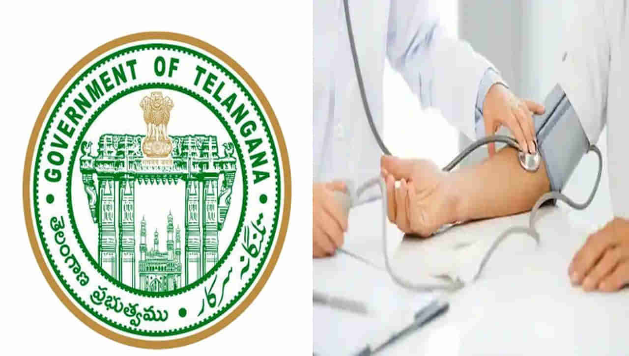 Medical Posts: తెలంగాణలో హెల్త్‌ ప్రొవైడర్‌ పోస్టులు.. నేరుగా మార్కుల ఆధారంగా అభ్యర్థుల ఎంపిక..