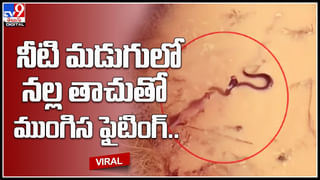 Viral: ఆకలేసి చికెన్ శాండ్‌విచ్ ఆర్డర్ చేసింది.. తీరా పార్శిల్ విప్పి చూసేసరికి..!