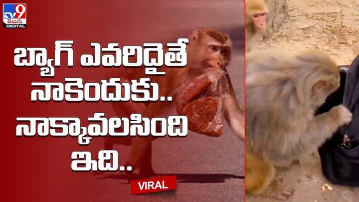 Viral: బ్యాగ్ ఎవరిదైతే నాకెందుకు.. నాక్కావలసింది ఇది !! చోరకళలో మాస్టర్ డిగ్రీ అంటున్న నెటిజన్లు Viral: బ్యాగ్ ఎవరిదైతే నాకెందుకు.. నాక్కావలసింది ఇది !! చోరకళలో మాస్టర్ డిగ్రీ అంటున్న నెటిజన్లు