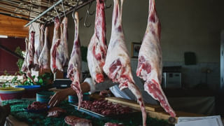 Andhra Pradesh: నాగసాధువులు చెప్పింది నిజమవ్వాలి.. తన ఆకాంక్షలను వెల్లడించిన ఎమ్మెల్యే కోటంరెడ్డి..