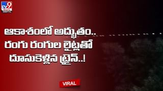 అరెరే.. పూలకుండి దొంగిలించాలనుకుంది.. కట్ చేస్తే.. సీన్‌ అదిరింది..