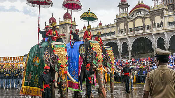 Dasara: మైసూరు వెళ్లే పర్యాటకులకు బంపర్ ఆఫర్.. కేవలం రూ.500లకే అన్నీ చుట్టేయొచ్చు..