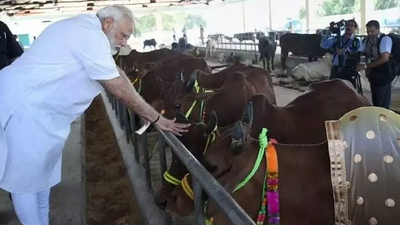 PM Modi: లంపి స్కిన్‌ డిసీజ్‌ కట్టడికి స్వదేశీ వ్యాక్సిన్‌.. కీలక ప్రకటన చేసిన ప్రధాని మోడీ