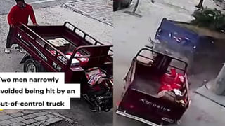 Viral Video: పది అడుగుల తాచు పాము బుసలు కొడితే ఎలా ఉంటుందో తెలుసా.. నెట్టింట వైరల్‌ అవుతోన్న వీడియో..