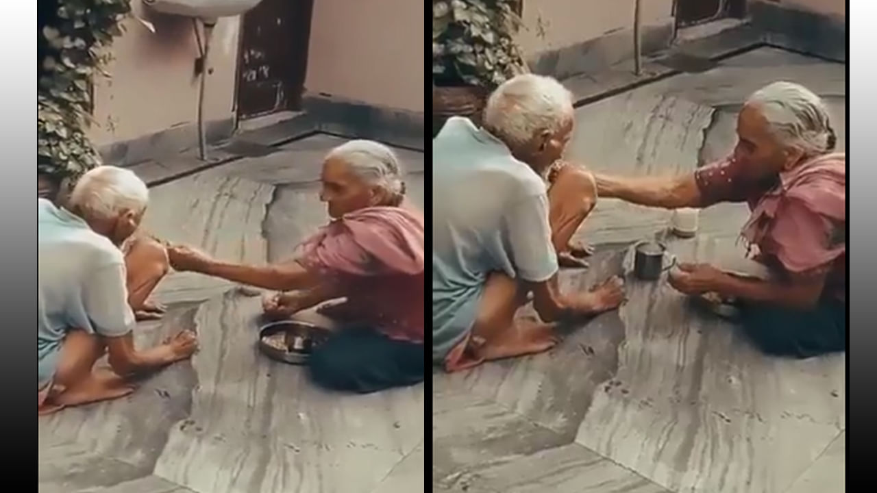 Viral Video: ప్రేమంటే ఏమిటి..? అసలైన అర్థం చెబుతున్న వృద్ధ దంపతులు.. తప్పక చూడాల్సిన వీడియో