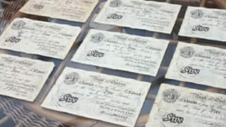 Viral Video: మూడు కళ్ల పిల్లి.. చూస్తే ముచ్చెమటలు పట్టాల్సిందే.. షాకింగ్ వీడియో మీకోసం..