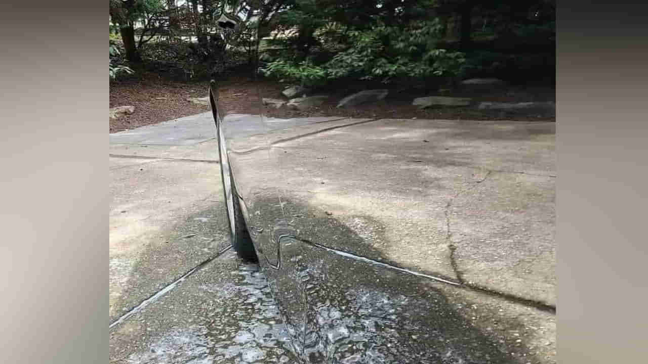 optical Illusion: కళ్లు బాగా పెద్దవి చేసి చూడండి.. ఈ ఫోటోలో దాగున్న మాయాజాలం కనిపెట్టండి..