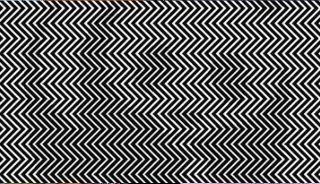 Optical Illusions: గీతల మధ్య దాగున్న పాండా.. మీ పరిశీలన శక్తికి పరీక్ష ఈ ఫోటో.. 99 శాతం మంది ఫెయిల్