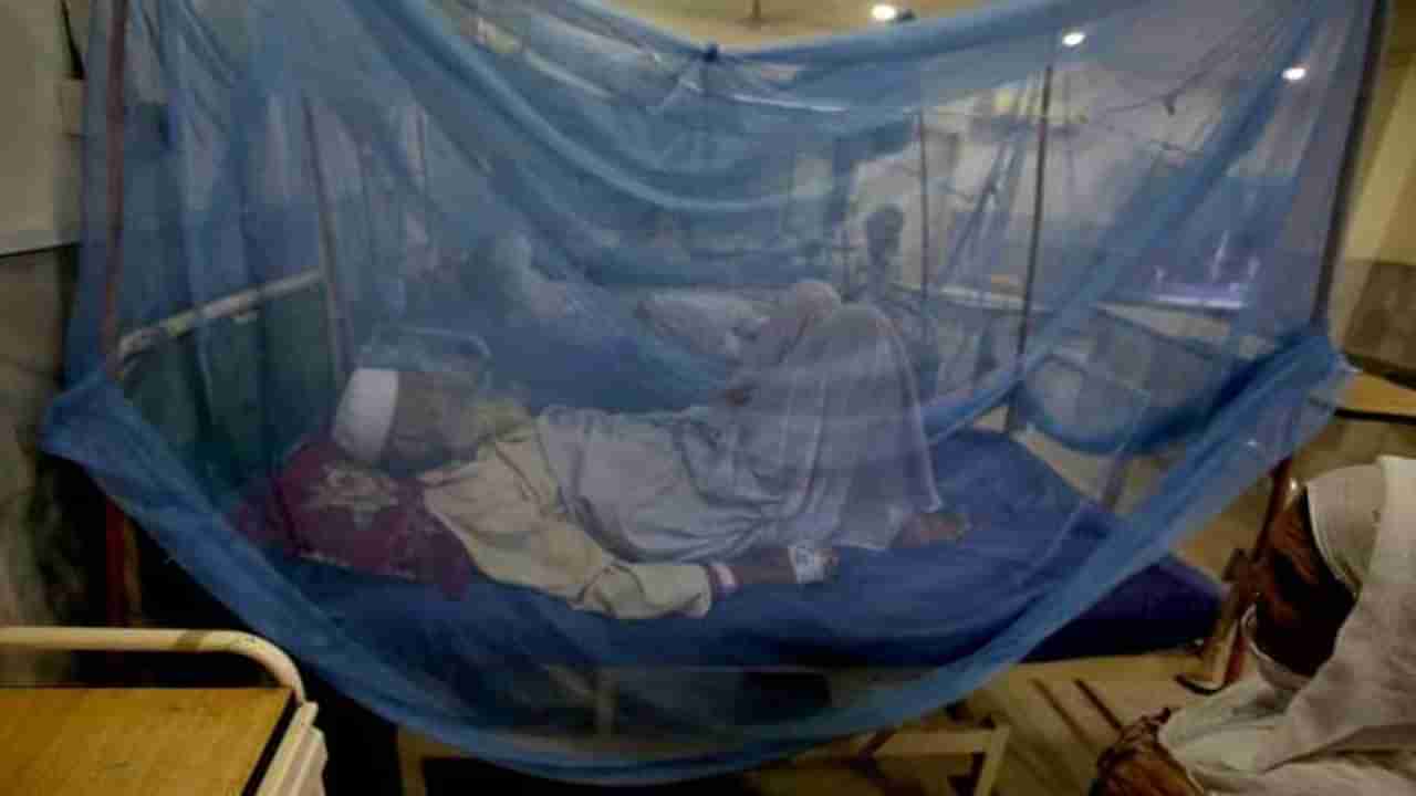 Pakisthan Floods: భారత్ నుంచి దోమతెరల కొనుగోలుకు పాక్ ప్రయత్నాలు.. మరోవైపు కాశ్మీర్ విషయంలో..