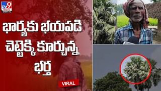 మొసళ్ల నదిలో పడిపోయిన బాలుడు !! ప్రాణ భయంతో పోరాడుతూ..