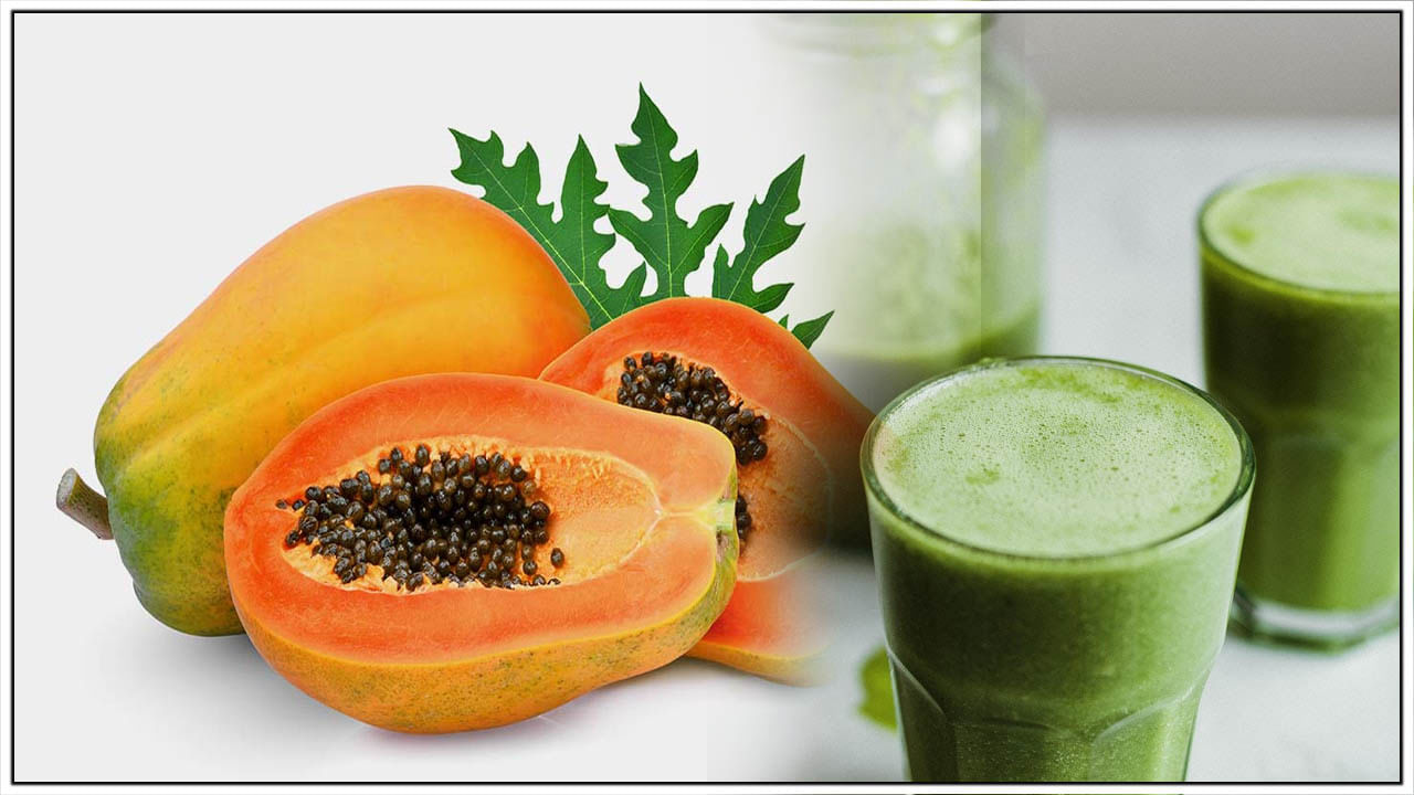 Papaya Leaves Benefits బొప్పాయి ఆకులతో అద్భుతమైన ప్రయోజనాలు.. అవేంటో