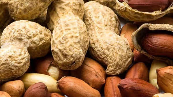 Peanuts Side Effects: చలికాలంలో వేరుశనగతో అద్భుత ప్రయోజనాలు.. వీరు మాత్రం అసలు తినకూడదు.. ఎందుకంటే?