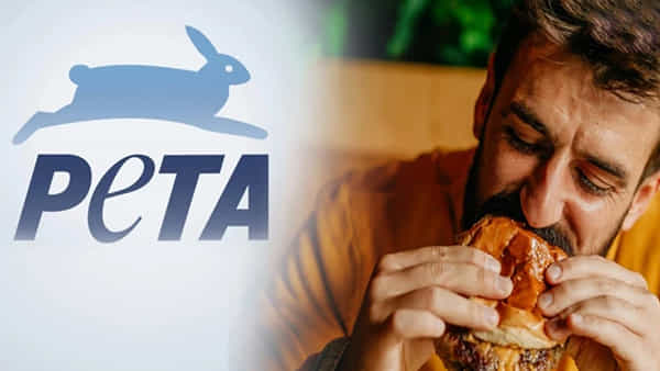 PETA: వారితో శృంగారం వద్దు.. మహిళలకు పెటా పిలుపు.. నెట్టింట పేలుతున్న పంచ్లు..