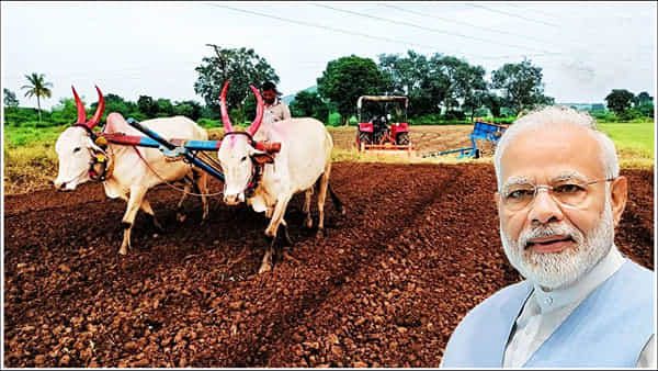 PM Kisan: రైతులకు గుడ్న్యూస్.. పీఎం కిసాన్ అప్డేట్ తెలుసుకునేందుకు కొత్త నంబర్ ఏర్పాటు