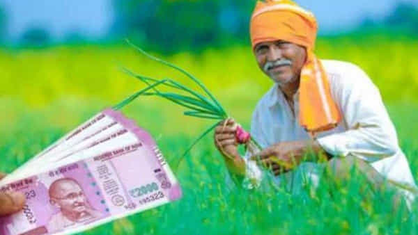 PM Kisan Yojana: రైతులకు అలర్ట్.. 13వ విడత పీఎం కిసాన్ డబ్బులు రావాలంటే.. ఇలా దరఖాస్తు చేసుకోండి..